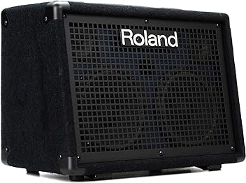Amazon.co.jp: Roland（ローランド）：電子楽器: キーボードアンプ