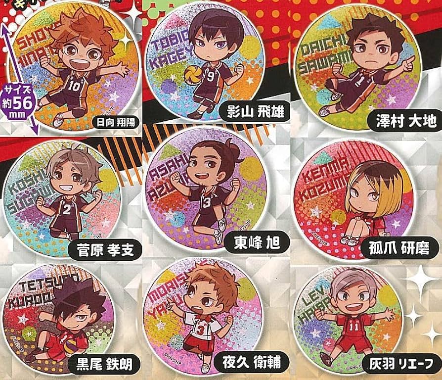 Amazon.co.jp: ハイキュー!! グリッター缶バッジ 全9種セット