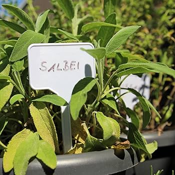 Amazon.com: Garden Markers Waterproof, Outdoor Large Plant Id Tags