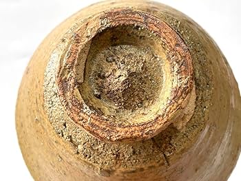 Amazon.co.jp: 陶芸家 作家物 森田無想 伊羅保 茶碗 黄伊羅保 抹茶碗