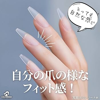 Amazon | COLORBIRD ネイルチップ 超薄 ロング クリア サンディング
