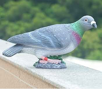 71O6m19Vg7L._AC_UF350,