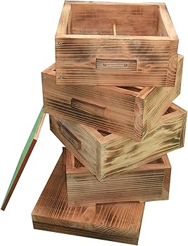 Amazon.co.jp: 日本蜜蜂 日本みつばち 日本ミツバチ 巣箱 重箱式 4段