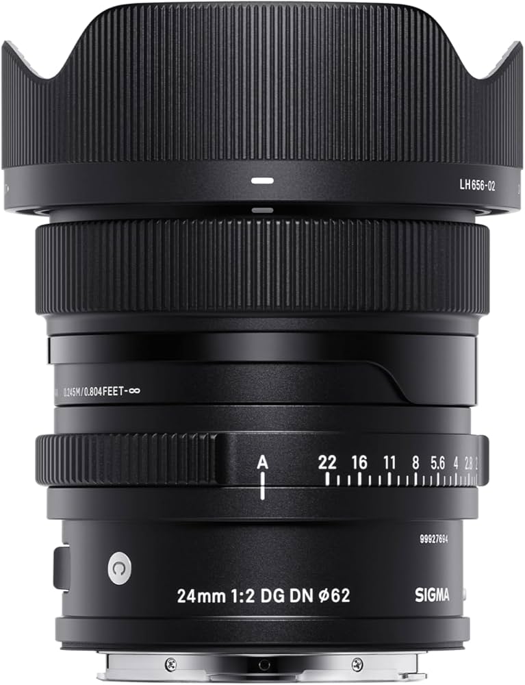 Amazon.com : 24mm F2 DG DN for L-Mount : Electronics