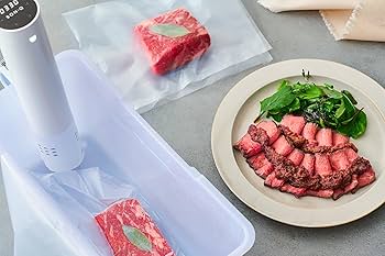 Amazon.co.jp: 【日本発 低温調理器専門メーカー】BONIQ 2.0 低温調理