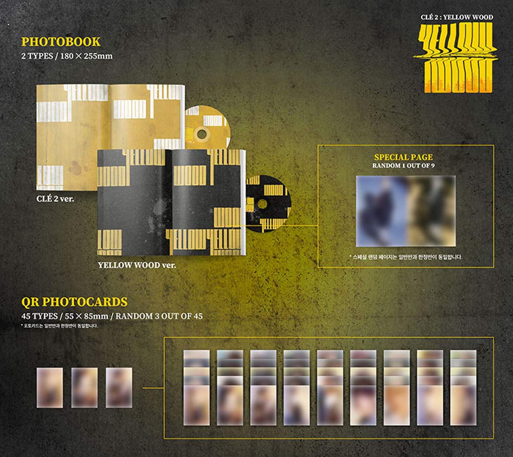 Amazon.com: STRAY KIDS Special Album - CLE 2 : Yellow Wood
