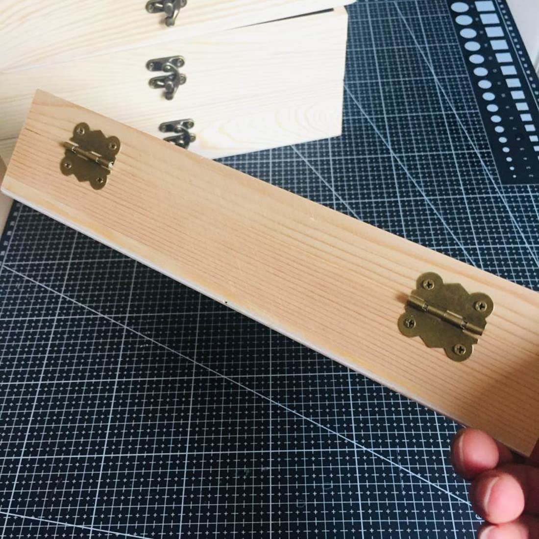 Amazon | 標本箱透明昆虫蝶標本箱 昆虫標本展示ボックス 蝶園作り