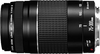 Amazon.co.jp: キャノンEF 75-300mm f/4-5.6 III 望遠ズームレンズ