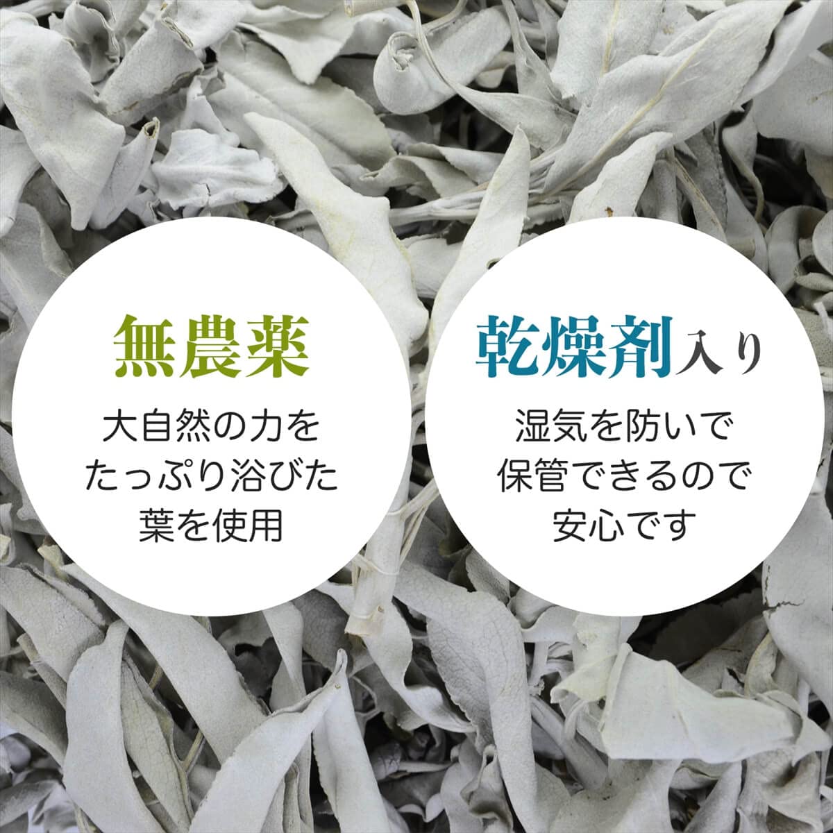 ☆特選NEW☆無農薬カリフォルニア産【箱配送150g高品質ホワイトセージ