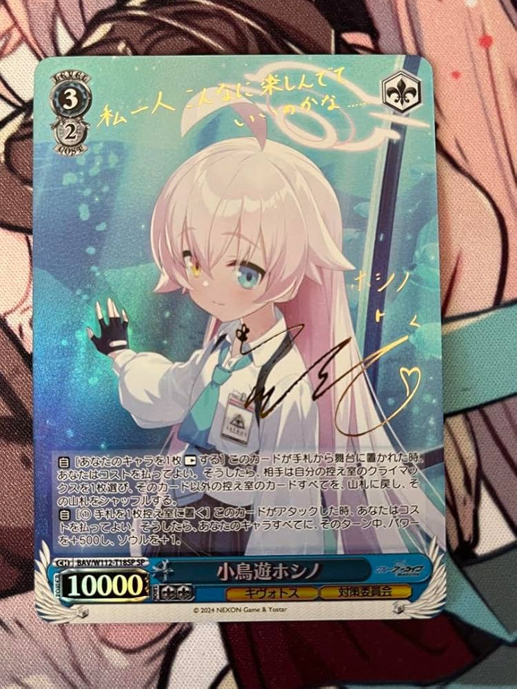 BGS10】ヴァイスブルーアーカイブ小鳥遊ホシノサインsp