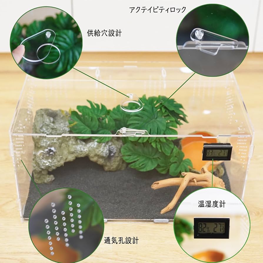 Amazon | Niesporek 爬虫類 ケージ トカゲ ケージ カナヘビ飼育ケース