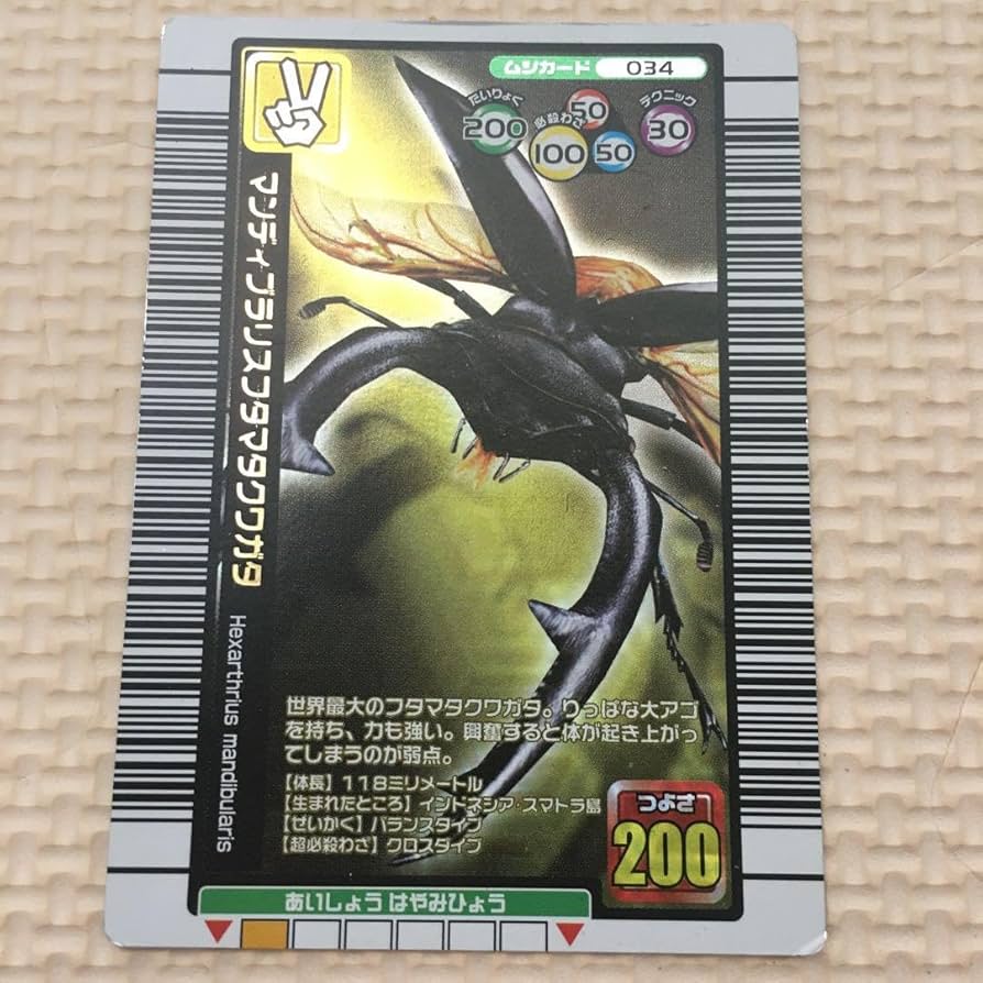 Amazon.co.jp: ムシキングカード マンディブラリスフタマタクワガタ