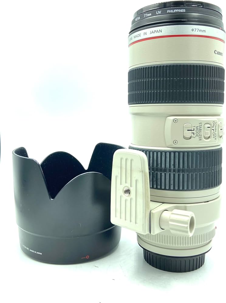 Canon EF 70-200mm f/2.8L IS USM Telephoto Zoom Lens for Canon SLR