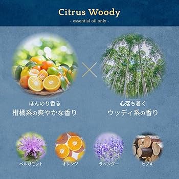 Amazon | βeater-cream ビータークリーム 390g クリームシャンプー