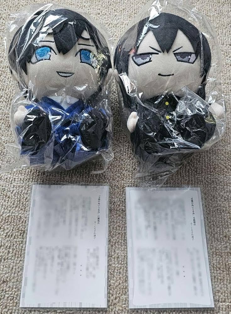 古書店街の橋姫 玉森 ぬいぐるみ ステラワース購入特典 書き下ろしSS