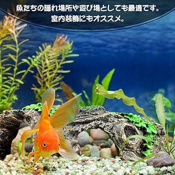 Amazon.co.jp: 水槽用 古代の城跡 アクアリウム オブジェ 流木 廃墟