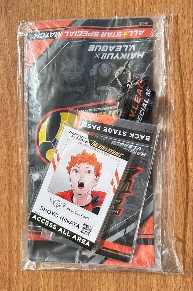 ハイキュー Vリーグ IDイメージカード 日向翔陽 30枚セット ハイキュー