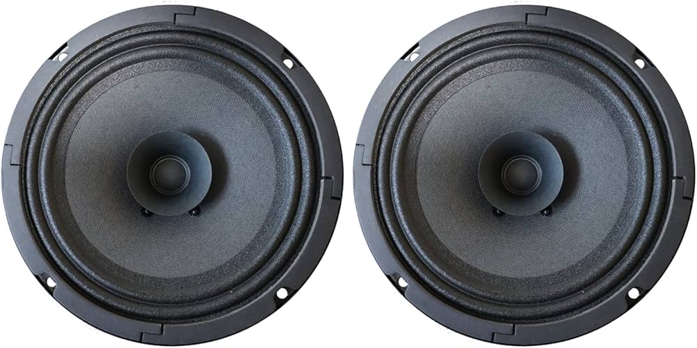 Amazon.co.jp: DAITO VOICE ダイトーボイス DS-16ⅢF 8Ω 16cm