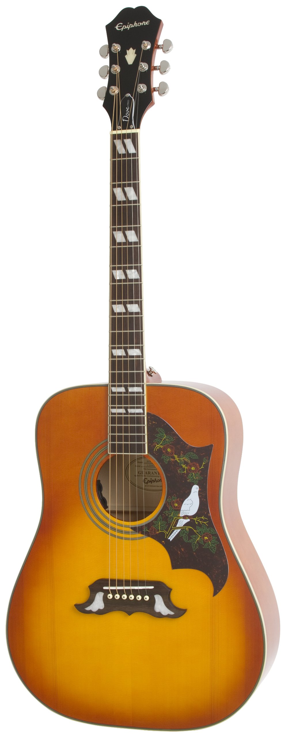 Amazon | Epiphone Dove PRO Violinburst ダブ エレアコギター