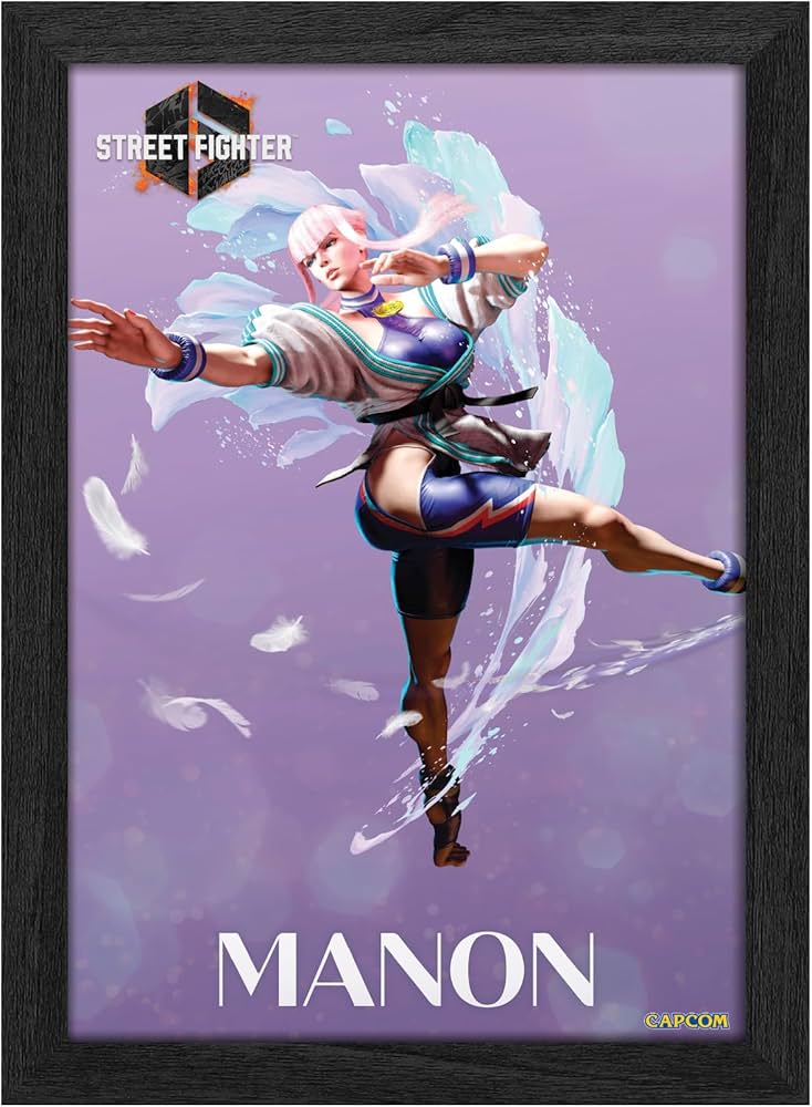 Amazon.com: Level Up Labs Pixel Frames PLAX: Street Fighter VI