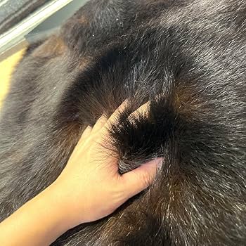 Amazon.co.jp: 大判 熊 尻あて腰当て尻皮 毛皮敷物 ブッシュクラフト