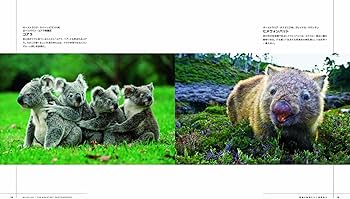 ナショナルジオグラフィック傑作写真 ワイルドライフ 素顔の動物たち