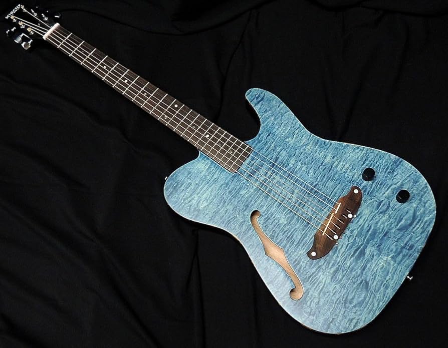 Amazon | SCHECTER OL-FL-P SSTB Oriental Line シェクター 薄胴