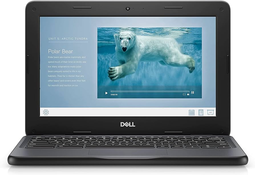Dell Chromebook 3100 Intel N4020 4GB 16GB Chrome OS 11.6 inch Gray
