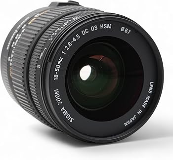 Amazon.co.jp: シグマ 18-50mm F2.8-4.5 DC OS HSM キヤノン用 : 家電