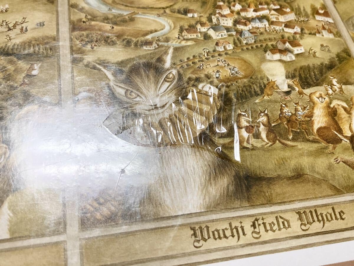 Amazon | WACHI FIELD わちふぃーるど ダヤン わちふぃーるどの世界