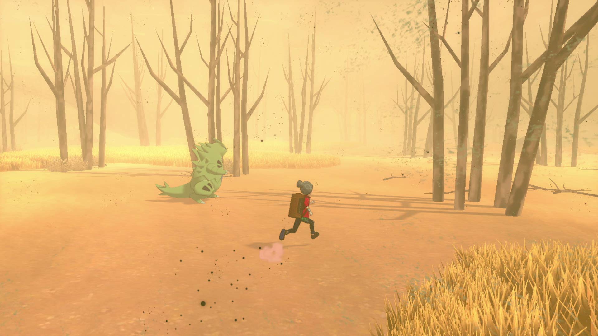 Amazon.co.jp: Nintendo Switch Lite ザシアン・ザマゼンタ +