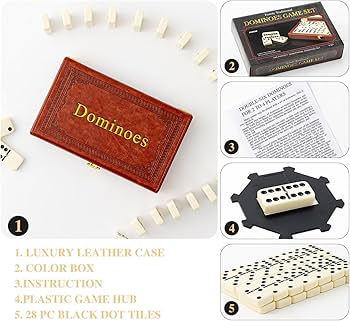 Amazon.com: ZOOCEN Double 6 Dominoes Set in Leatherette Case (28