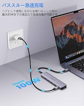 Amazon.co.jp: USB C ハブ hdmi 2つ Dual Display ドッキング