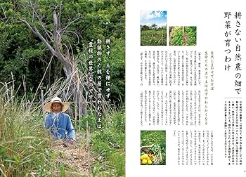 71VKWR4GjML._AC_UF350,