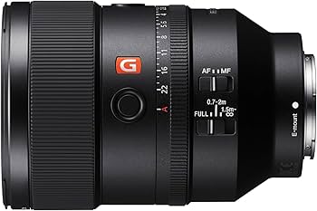 Amazon.com : FE 135mm F1.8 G Master Telephoto Prime Lens for Sony