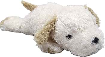 71VT-zyJZWL._AC_UF350,