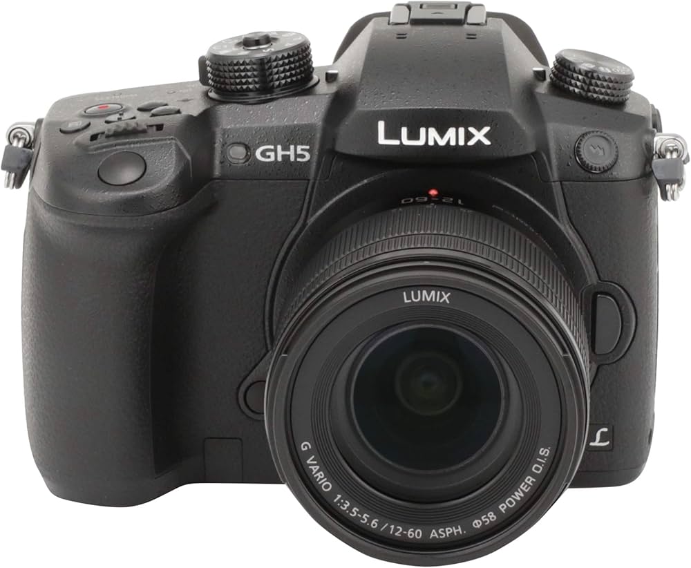 Amazon | パナソニック(Panasonic) ミラーレス一眼カメラ ルミックス