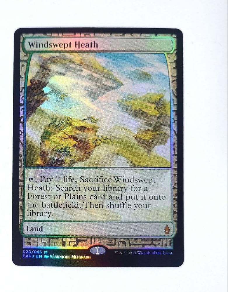 MTG 英語版 foil EXP 吹きさらしの荒野 FOIL)吹きさらしの荒野