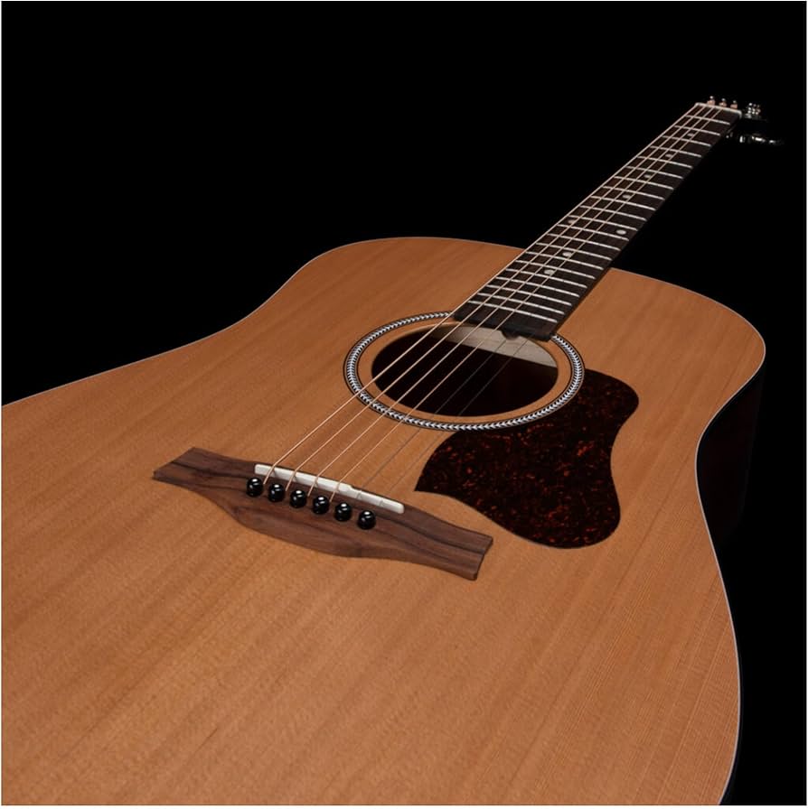Amazon | Seagull (シーガル) アコースティックギター S6 Cedar
