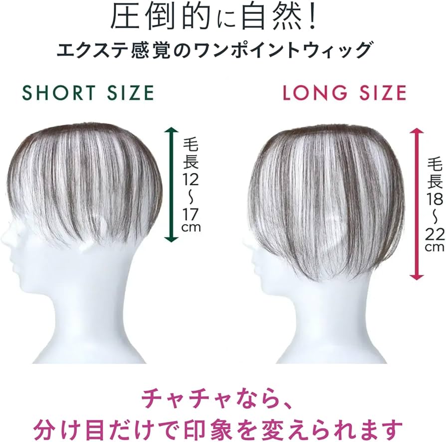 Amazon.co.jp: PESCA (ペスカ) ヘアメイト チャチャ 部分ウィッグ 白髪