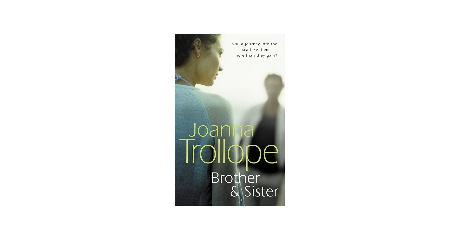Brother & Sister: a deeply moving and insightful novel from one of