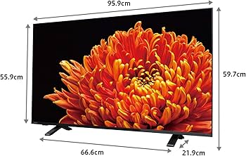 Amazon | 東芝 43V型 液晶テレビ レグザ 43C340X 4Kチューナー内蔵 外
