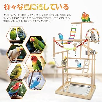 Amazon | バードアスレチック 鳥 遊び場 四層 バード アスレチック