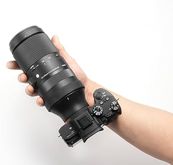 Amazon.com : Sigma 100-400mm F-5.6.3 DG DN OS for L Mount