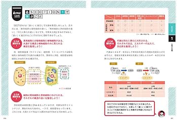 きめる!共通テスト 生物基礎 改訂版 (きめる!共通テストシリーズ