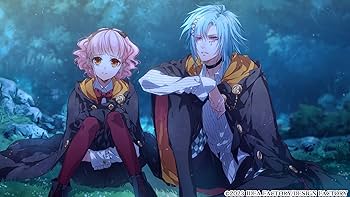 Amazon.co.jp: ワンド オブ フォーチュン R for Nintendo Switch 特装