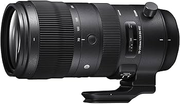 Amazon.co.jp: シグマ(Sigma) レンズ 70-200mm F2.8 DG OS HSM Canon