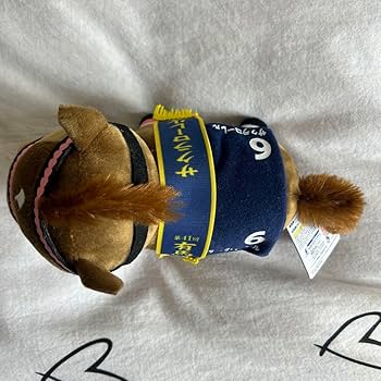 71WmMnEj-yL._AC_UF350,