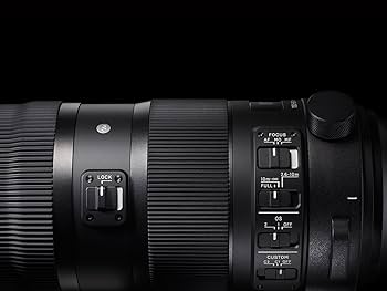 Amazon.com : Sigma 150-600mm 5-6.3 Sports DG OS HSM Lens for Canon