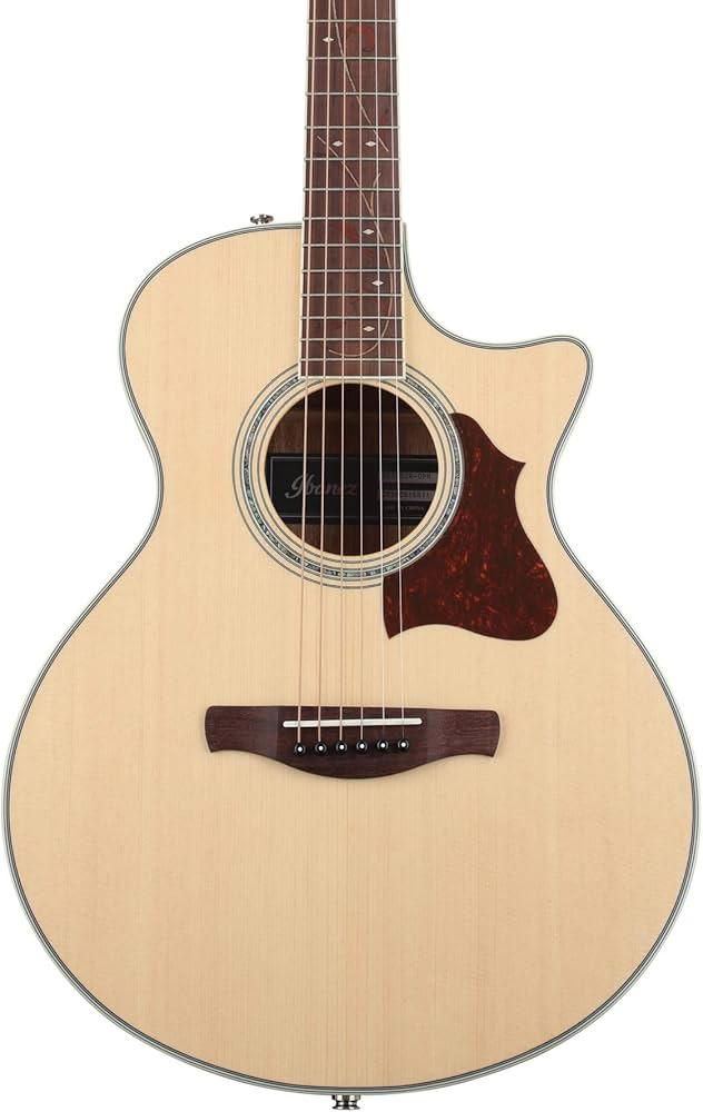 Amazon.co.jp: Ibanez アイバニーズ ジュニアサイズのエレアコギター